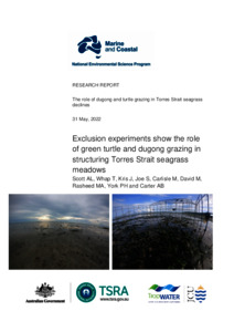 The Role Of Dugong And Turtle Grazing In Torres Strait Seagrass